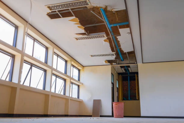 Best Mold removal after water damage  in Reynolds Heights, PA