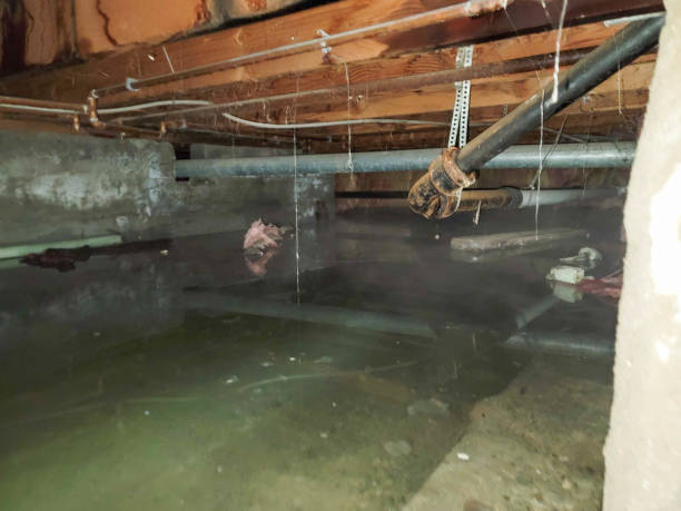 Best Residential water damage restoration  in Reynolds Heights, PA