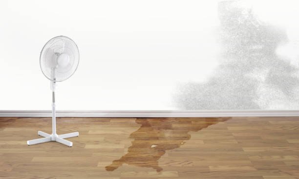 Best Flood damage cleanup  in Reynolds Heights, PA