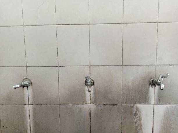 Best Flood restoration services  in Reynolds Heights, PA