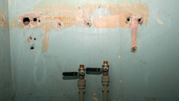 Best 24-hour water damage restoration  in Reynolds Heights, PA
