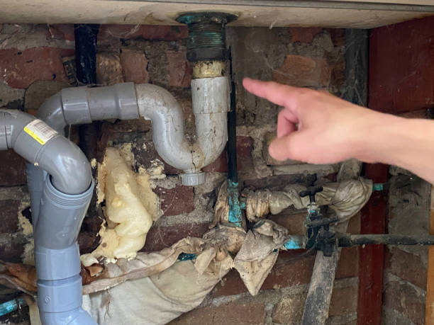 Best Flooded house restoration  in Reynolds Heights, PA
