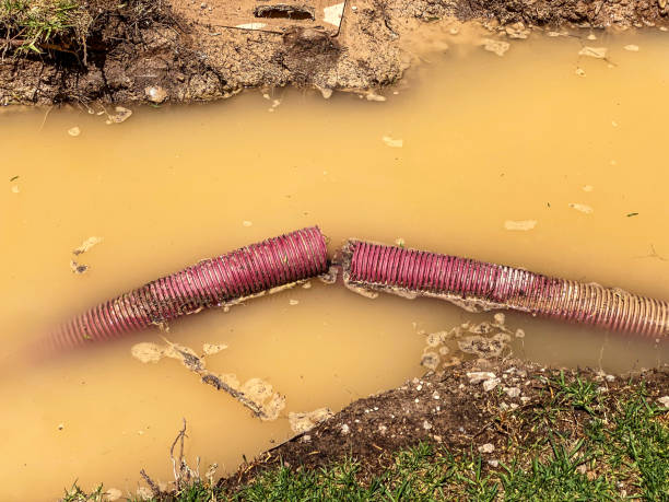 Best Emergency water damage restoration  in Reynolds Heights, PA