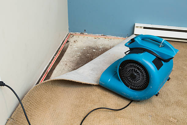Best Water damage restoration experts  in Reynolds Heights, PA